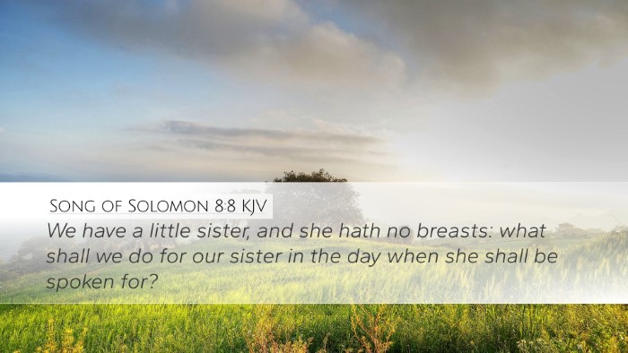 Song of Solomon 8:8 KJV Desktop Wallpaper - We have a little sister, and she hath no breasts: - Desktop Bible Verse Wallpaper