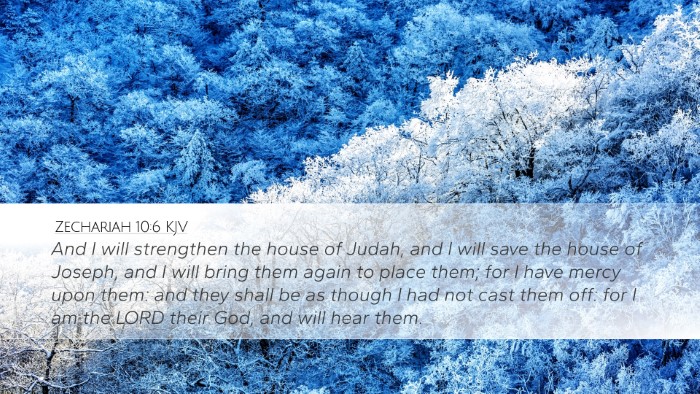 Zechariah 10:6 KJV Bible Verse Image