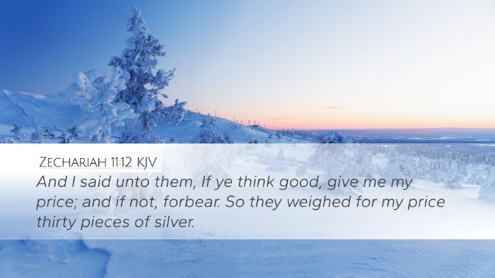 Zechariah 11:12 KJV Bible Verse Image