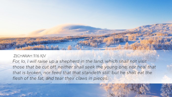 Zechariah 11:16 KJV Bible Verse Image