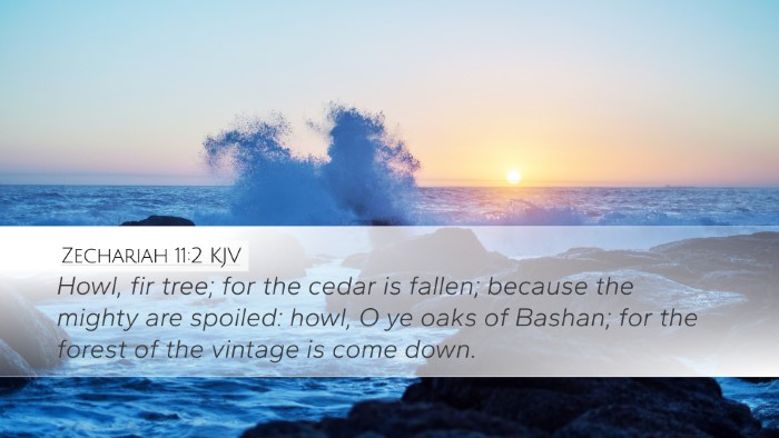 Zechariah 11:2 KJV Bible Verse Image