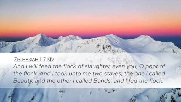 Zechariah 11:7 KJV Bible Verse Image