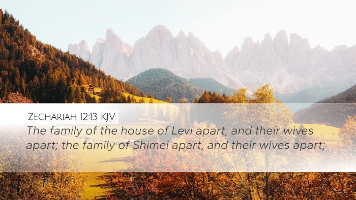 Zechariah 12:13 KJV Bible Verse Image