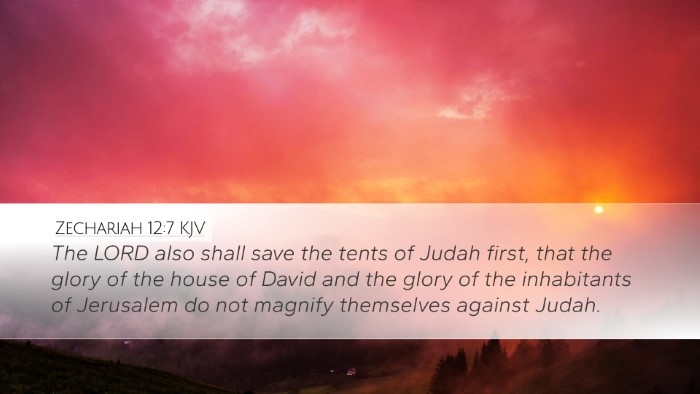 Zechariah 12:7 KJV Bible Verse Image