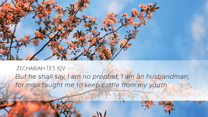 Zechariah 13:5 KJV Bible Verse Image