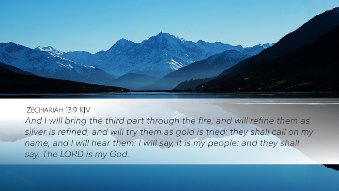 Zechariah 13:9 KJV Bible Verse Image