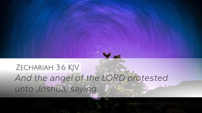 Zechariah 3:6 KJV Bible Verse Image