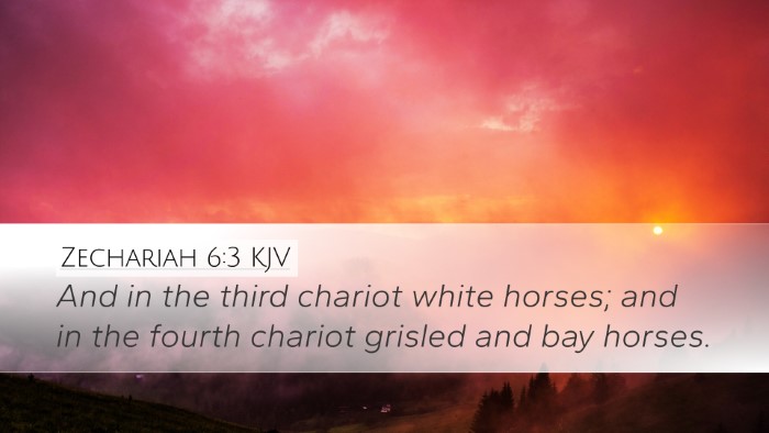 Zechariah 6:3 KJV Bible Verse Image