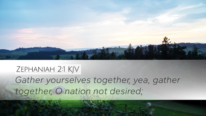 Zephaniah 2:1 KJV Desktop Wallpaper - Gather yourselves together, yea, gather together, - Desktop Bible Verse Wallpaper