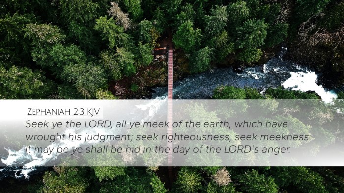 Zephaniah 2:3 KJV Bible Verse Image