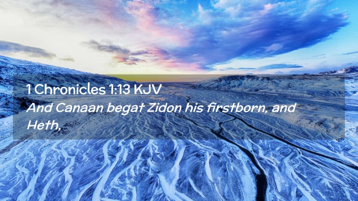 Picture 02 - 1 Chronicles 1:13 KJV Desktop Wallpaper - And Canaan begat Zidon his firstborn, and - Desktop Bible Verse Wallpaper