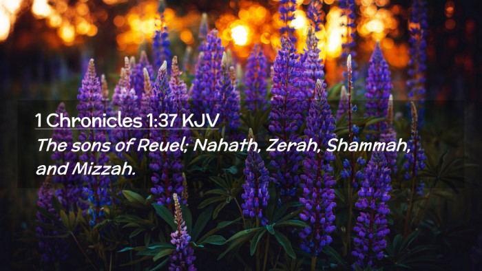 Picture 02 - 1 Chronicles 1:37 KJV Desktop Wallpaper - The sons of Reuel; Nahath, Zerah, Shammah, and - Desktop Bible Verse Wallpaper