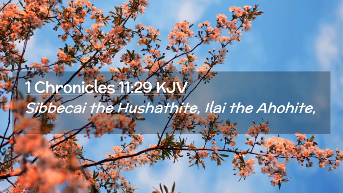 Picture 02 - 1 Chronicles 11:29 KJV Desktop Wallpaper - Sibbecai the Hushathite, Ilai the - Desktop Bible Verse Wallpaper