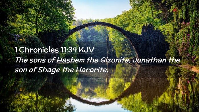 Picture 02 - 1 Chronicles 11:34 KJV Desktop Wallpaper - The sons of Hashem the Gizonite, Jonathan the son - Desktop Bible Verse Wallpaper