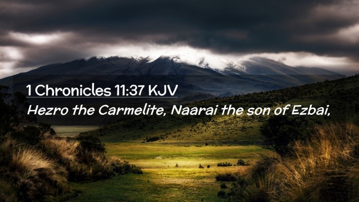 Picture 02 - 1 Chronicles 11:37 KJV Desktop Wallpaper - Hezro the Carmelite, Naarai the son of - Desktop Bible Verse Wallpaper