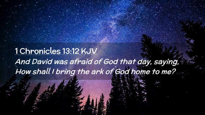 Picture 02 - 1 Chronicles 13:12 KJV Desktop Wallpaper - And David was afraid of God that day, saying, How - Desktop Bible Verse Wallpaper