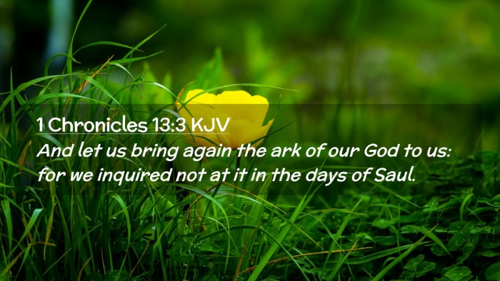 Picture 02 - 1 Chronicles 13:3 KJV Desktop Wallpaper - And let us bring again the ark of our God to us: - Desktop Bible Verse Wallpaper