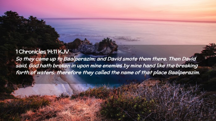 Picture 02 - 1 Chronicles 14:11 KJV Desktop Wallpaper - So they came up to Baalperazim; and David smote - Desktop Bible Verse Wallpaper