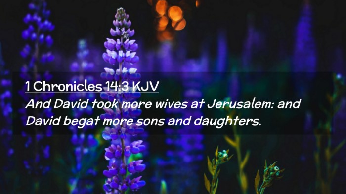 Picture 02 - 1 Chronicles 14:3 KJV Desktop Wallpaper - And David took more wives at Jerusalem: and David - Desktop Bible Verse Wallpaper