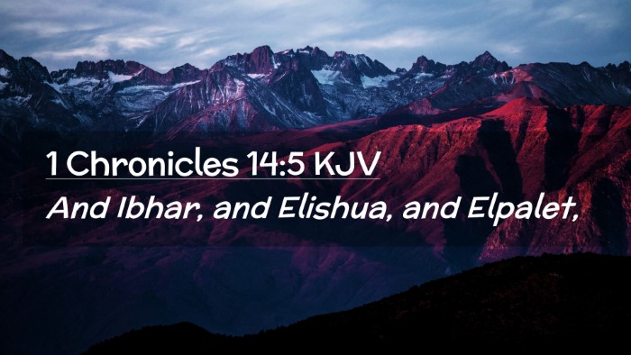 Picture 02 - 1 Chronicles 14:5 KJV Desktop Wallpaper - And Ibhar, and Elishua, and - Desktop Bible Verse Wallpaper