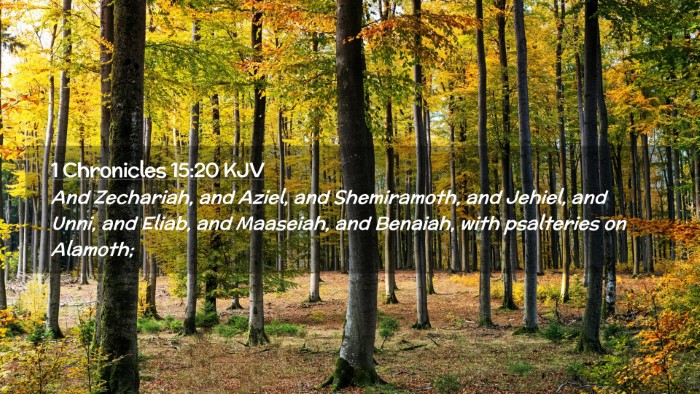 Picture 02 - 1 Chronicles 15:20 KJV Desktop Wallpaper - And Zechariah, and Aziel, and Shemiramoth, and - Desktop Bible Verse Wallpaper