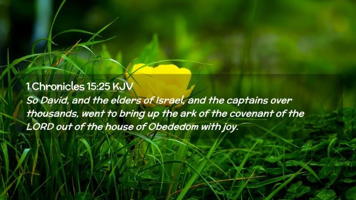 Picture 02 - 1 Chronicles 15:25 KJV Desktop Wallpaper - So David, and the elders of Israel, and the - Desktop Bible Verse Wallpaper