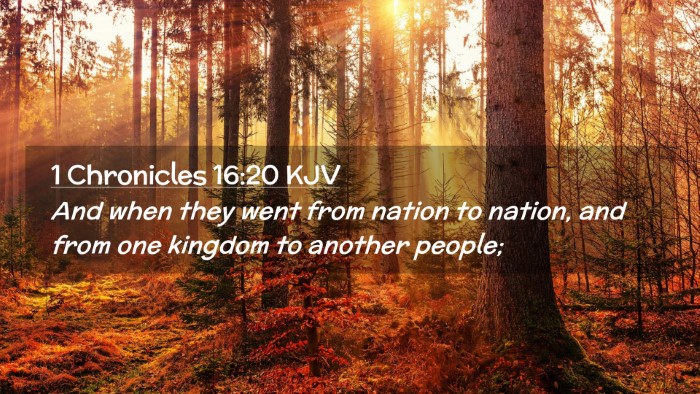 Picture 02 - 1 Chronicles 16:20 KJV Desktop Wallpaper - And when they went from nation to nation, and - Desktop Bible Verse Wallpaper