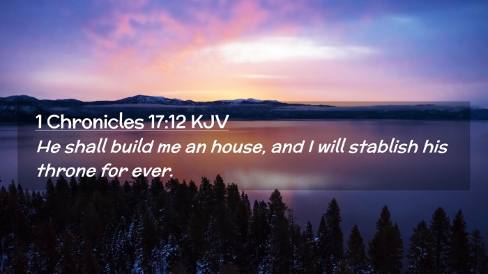 Picture 02 - 1 Chronicles 17:12 KJV Desktop Wallpaper - He shall build me an house, and I will stablish - Desktop Bible Verse Wallpaper