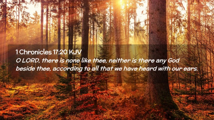 Picture 02 - 1 Chronicles 17:20 KJV Desktop Wallpaper - O LORD, there is none like thee, neither is there - Desktop Bible Verse Wallpaper