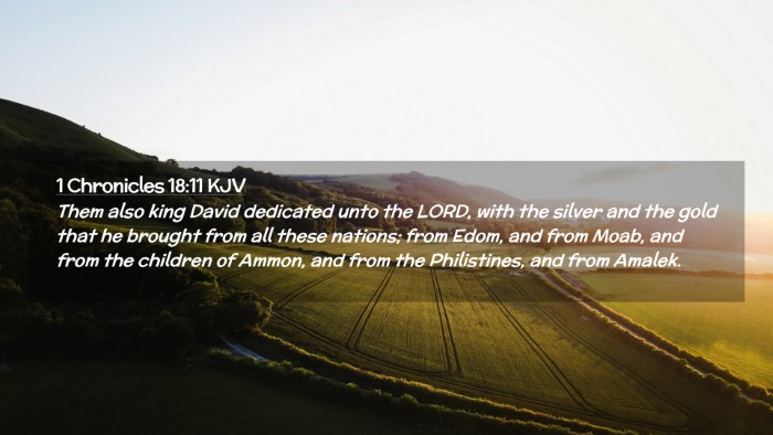 Picture 02 - 1 Chronicles 18:11 KJV Desktop Wallpaper - Them also king David dedicated unto the LORD, - Desktop Bible Verse Wallpaper