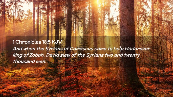 Picture 02 - 1 Chronicles 18:5 KJV Desktop Wallpaper - And when the Syrians of Damascus came to help - Desktop Bible Verse Wallpaper