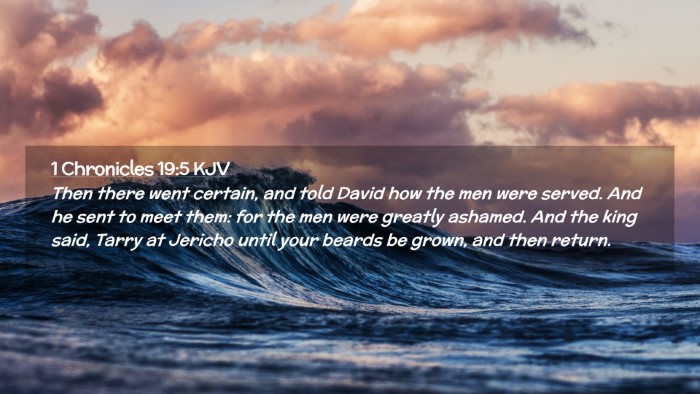 Picture 02 - 1 Chronicles 19:5 KJV Desktop Wallpaper - Then there went certain, and told David how the - Desktop Bible Verse Wallpaper
