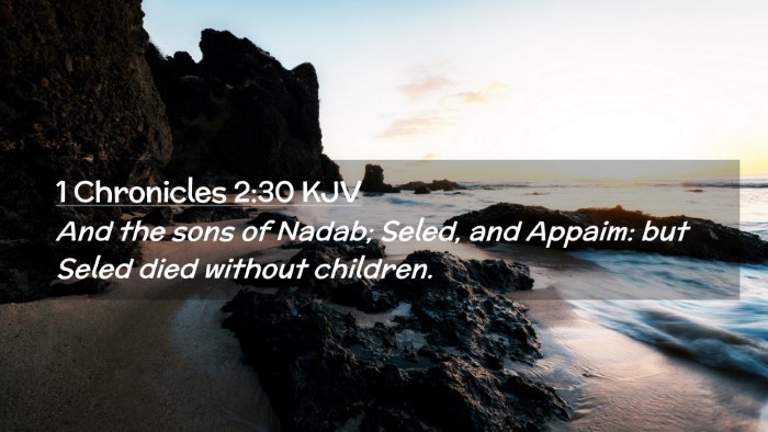 Picture 02 - 1 Chronicles 2:30 KJV Desktop Wallpaper - And the sons of Nadab; Seled, and Appaim: but - Desktop Bible Verse Wallpaper