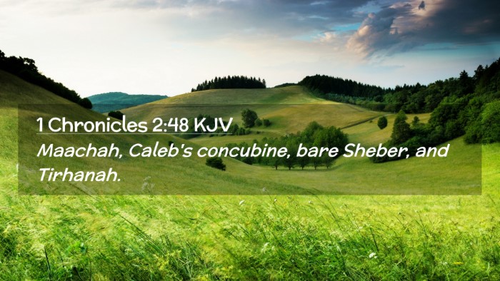 Picture 02 - 1 Chronicles 2:48 KJV Desktop Wallpaper - Maachah, Caleb's concubine, bare Sheber, and - Desktop Bible Verse Wallpaper