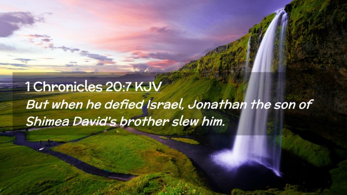 Picture 02 - 1 Chronicles 20:7 KJV Desktop Wallpaper - But when he defied Israel, Jonathan the son of - Desktop Bible Verse Wallpaper