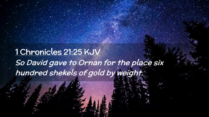 Picture 02 - 1 Chronicles 21:25 KJV Desktop Wallpaper - So David gave to Ornan for the place six hundred - Desktop Bible Verse Wallpaper