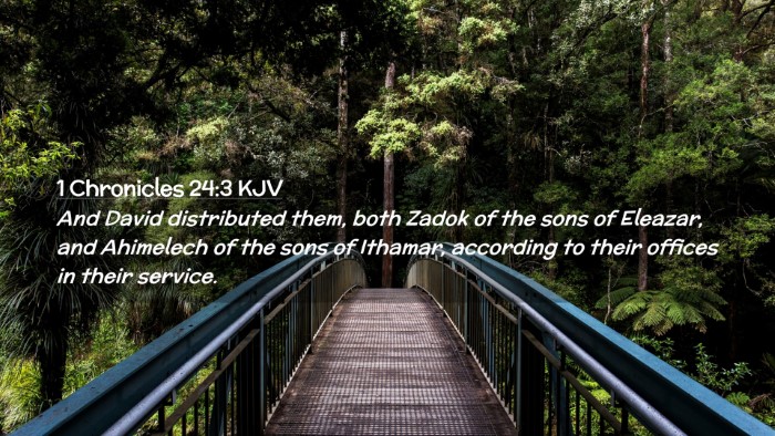 Picture 02 - 1 Chronicles 24:3 KJV Desktop Wallpaper - And David distributed them, both Zadok of the - Desktop Bible Verse Wallpaper