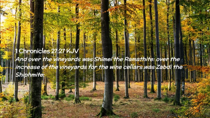 Picture 02 - 1 Chronicles 27:27 KJV Desktop Wallpaper - And over the vineyards was Shimei the Ramathite: - Desktop Bible Verse Wallpaper
