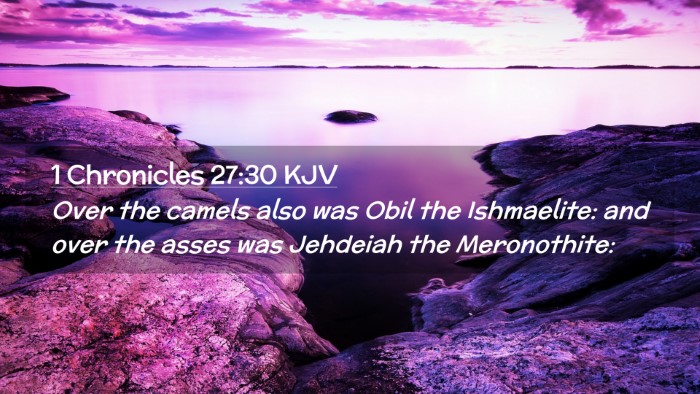 Picture 02 - 1 Chronicles 27:30 KJV Desktop Wallpaper - Over the camels also was Obil the Ishmaelite: and - Desktop Bible Verse Wallpaper