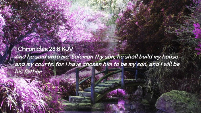 Picture 02 - 1 Chronicles 28:6 KJV Desktop Wallpaper - And he said unto me, Solomon thy son, he shall - Desktop Bible Verse Wallpaper