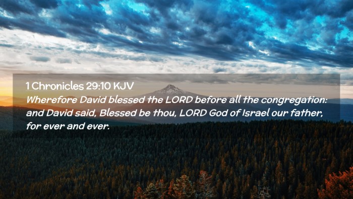 Picture 02 - 1 Chronicles 29:10 KJV Desktop Wallpaper - Wherefore David blessed the LORD before all the - Desktop Bible Verse Wallpaper