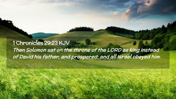 Picture 02 - 1 Chronicles 29:23 KJV Desktop Wallpaper - Then Solomon sat on the throne of the LORD as - Desktop Bible Verse Wallpaper