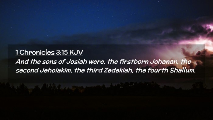 Picture 02 - 1 Chronicles 3:15 KJV Desktop Wallpaper - And the sons of Josiah were, the firstborn - Desktop Bible Verse Wallpaper