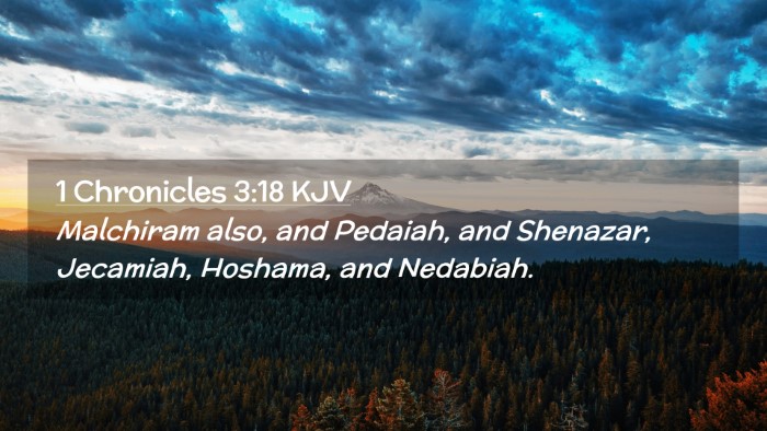 Picture 02 - 1 Chronicles 3:18 KJV Desktop Wallpaper - Malchiram also, and Pedaiah, and Shenazar, - Desktop Bible Verse Wallpaper