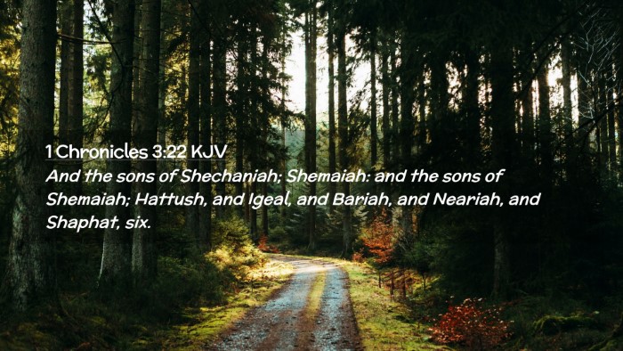 Picture 02 - 1 Chronicles 3:22 KJV Desktop Wallpaper - And the sons of Shechaniah; Shemaiah: and the - Desktop Bible Verse Wallpaper