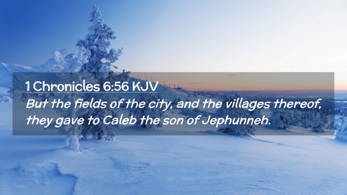 Picture 02 - 1 Chronicles 6:56 KJV Desktop Wallpaper - But the fields of the city, and the villages - Desktop Bible Verse Wallpaper