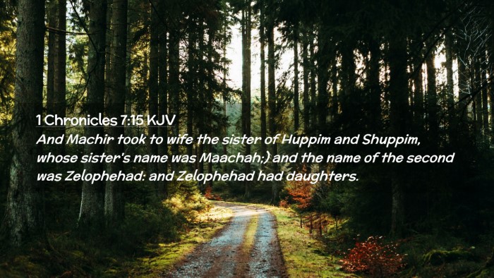 Picture 02 - 1 Chronicles 7:15 KJV Desktop Wallpaper - And Machir took to wife the sister of Huppim and - Desktop Bible Verse Wallpaper