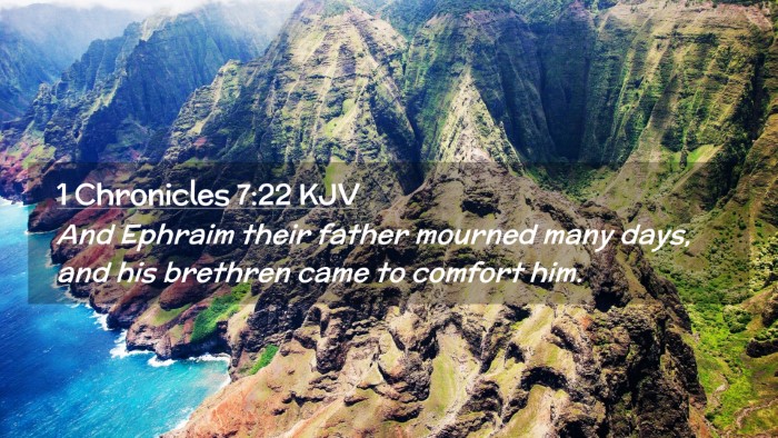 Picture 02 - 1 Chronicles 7:22 KJV Desktop Wallpaper - And Ephraim their father mourned many days, and - Desktop Bible Verse Wallpaper