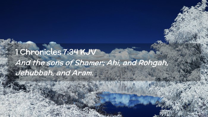 Picture 02 - 1 Chronicles 7:34 KJV Desktop Wallpaper - And the sons of Shamer; Ahi, and Rohgah, - Desktop Bible Verse Wallpaper