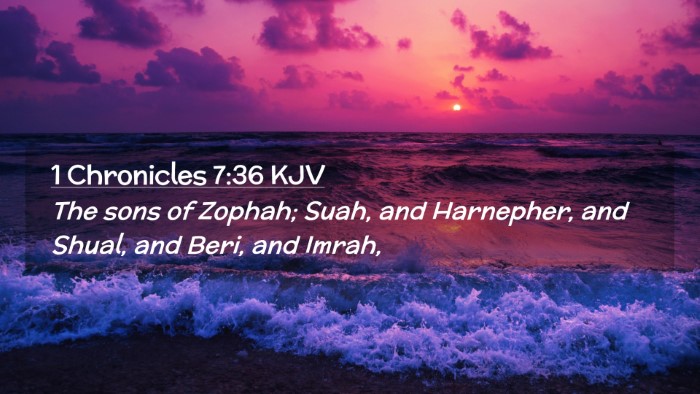 Picture 02 - 1 Chronicles 7:36 KJV Desktop Wallpaper - The sons of Zophah; Suah, and Harnepher, and - Desktop Bible Verse Wallpaper